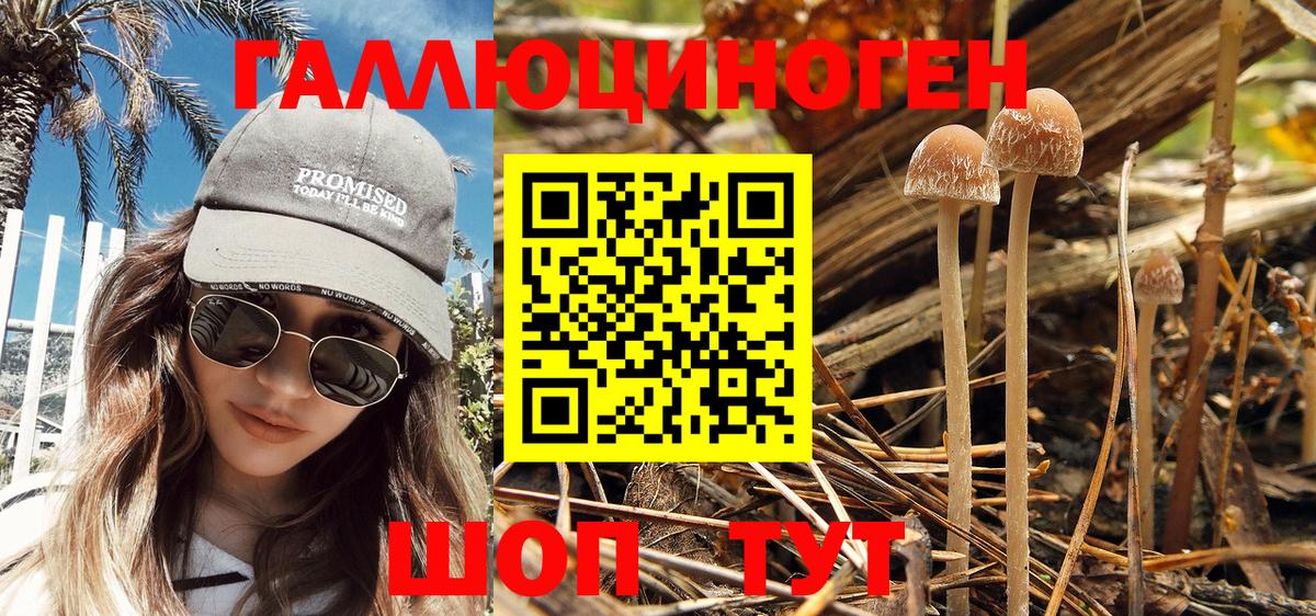 Галлюциногенные грибы Magic Shrooms  продажа наркотиков  Зеленокумск  Галлюциногенные грибы Magic Shrooms  Вход с VPN 